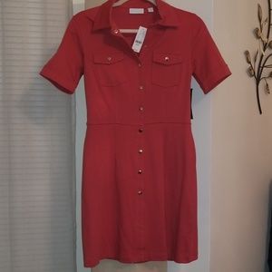 NWT- New York and Company Dress.